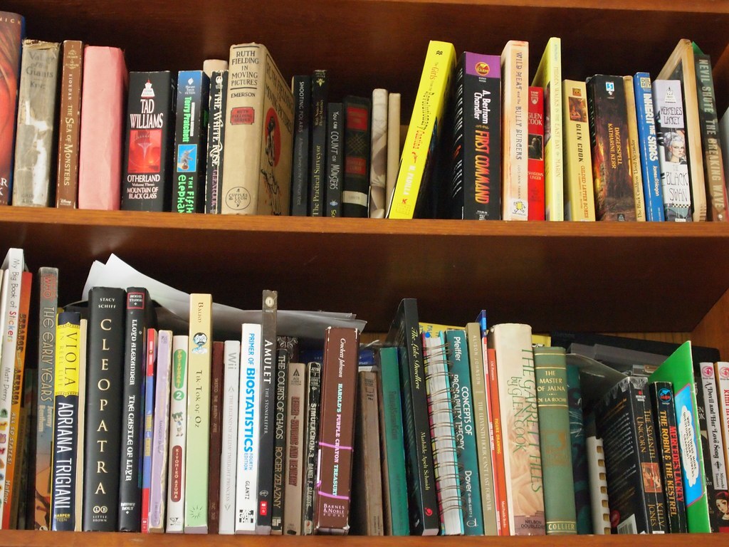 Celebrate Library “Shelfie” Day at Your Library