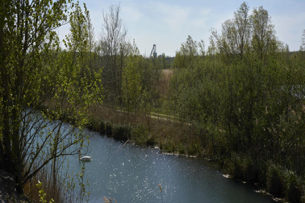 Smoky Conditions Expected Near Lake County Landfill Facility