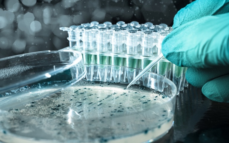 Biotechnology center grant funds ECU-led cancer compound research