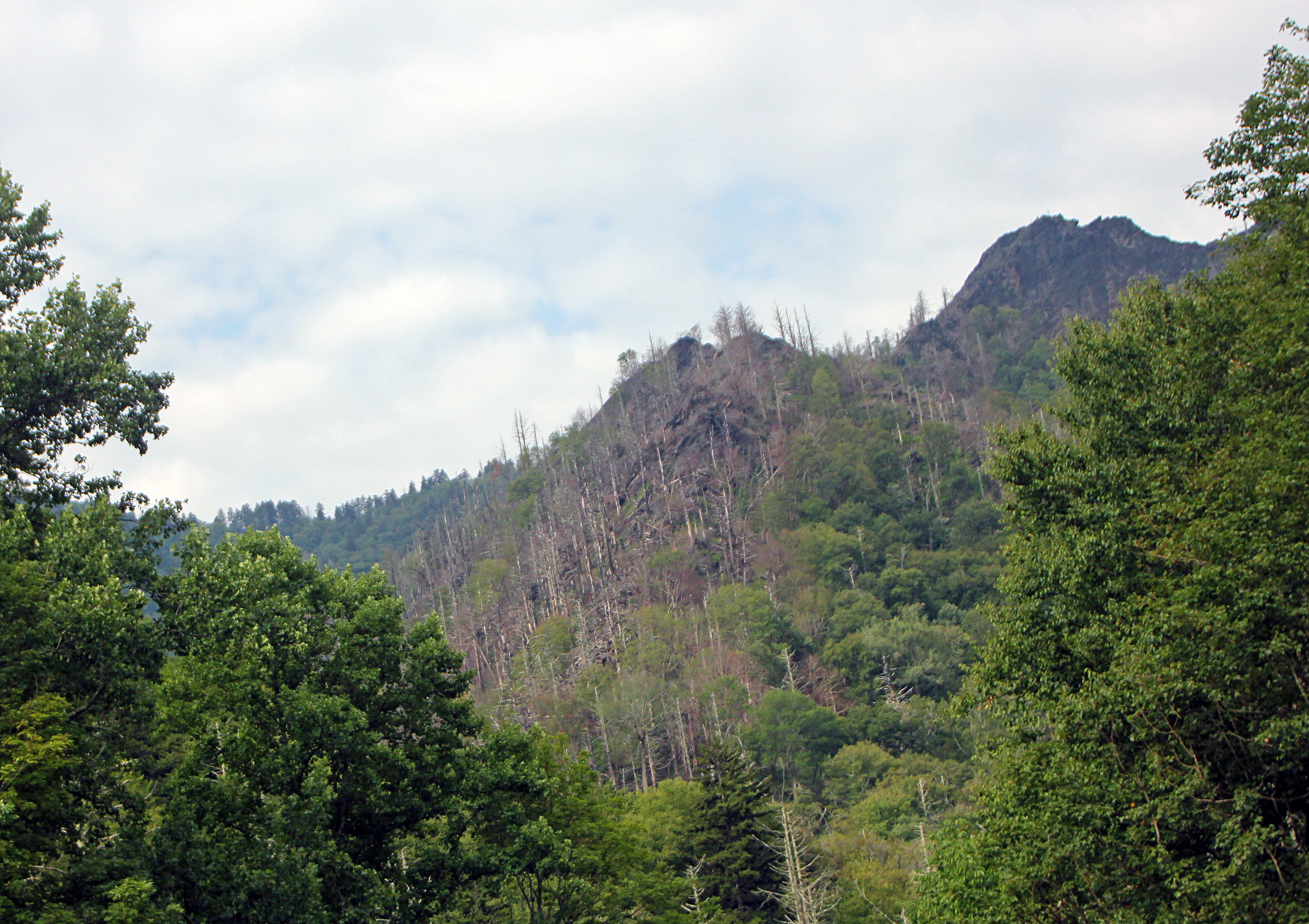 Appalchia Together: Finding Belonging and Community in the Mountains