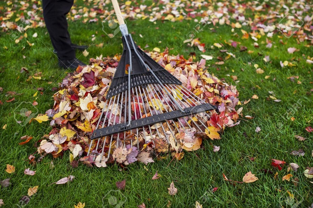 SEARCY REGIONAL CHAMBER OF COMMERCE: White County Spring Cleanup to be held April 7