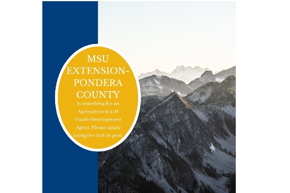 Montana State University Extension Looking for a Agriculture & 4-h Youth Development Agent
