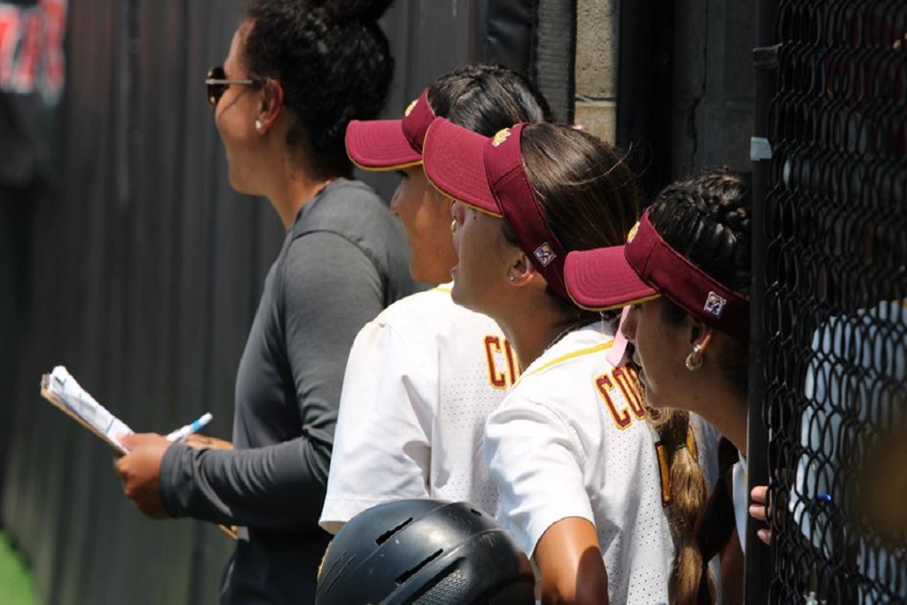 Wildcats’ Season Comes to an End in SWAC Tournament