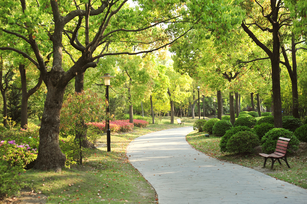 TOWN OF BELLEAIR SHORE: Interested in providing feedback for what you hope to see in Wildwood Park?