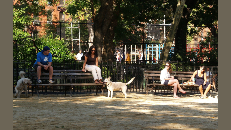 Barkley Square Dog Park