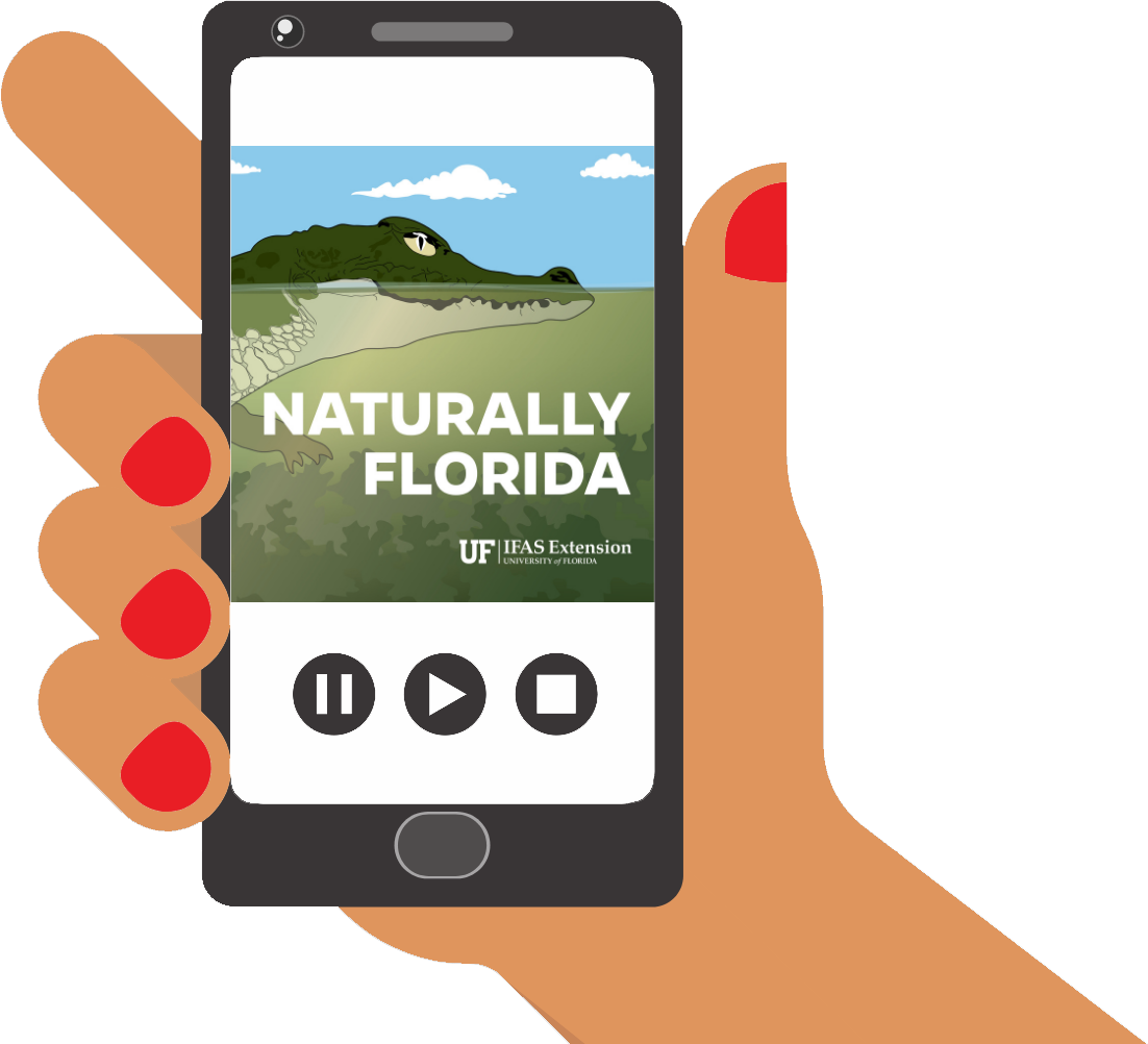 UF/IFAS Extension Pinellas launches third season of popular podcast, Naturally Florida