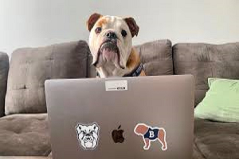 UNIVERSITY OF MONTANA WESTERN: Win 0 Bulldog Bucks as a Thank You for a Successful Fall Semester to be held January 1 UNIVERSITY OF MONTANA WESTERN: Win 0 Bulldog Bucks as a Thank You for a Successful Fall Semester to be held January 1