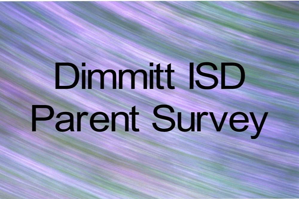 DIMMITT ISD: Dimmit ISD Parent Survey DIMMITT ISD: Dimmit ISD Parent Survey