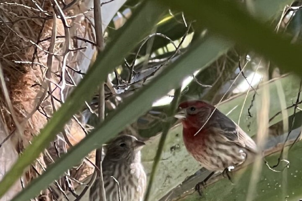 City of Beaufort: New members named to Park & Tree Commission City of Beaufort: New members named to Park & Tree Commission