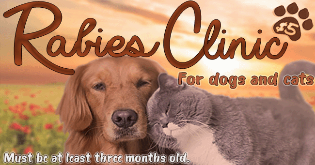 COUNTY OF JOHNSTON: 2023 Rabies Shot Clinic on April 15th COUNTY OF JOHNSTON: 2023 Rabies Shot Clinic on April 15th