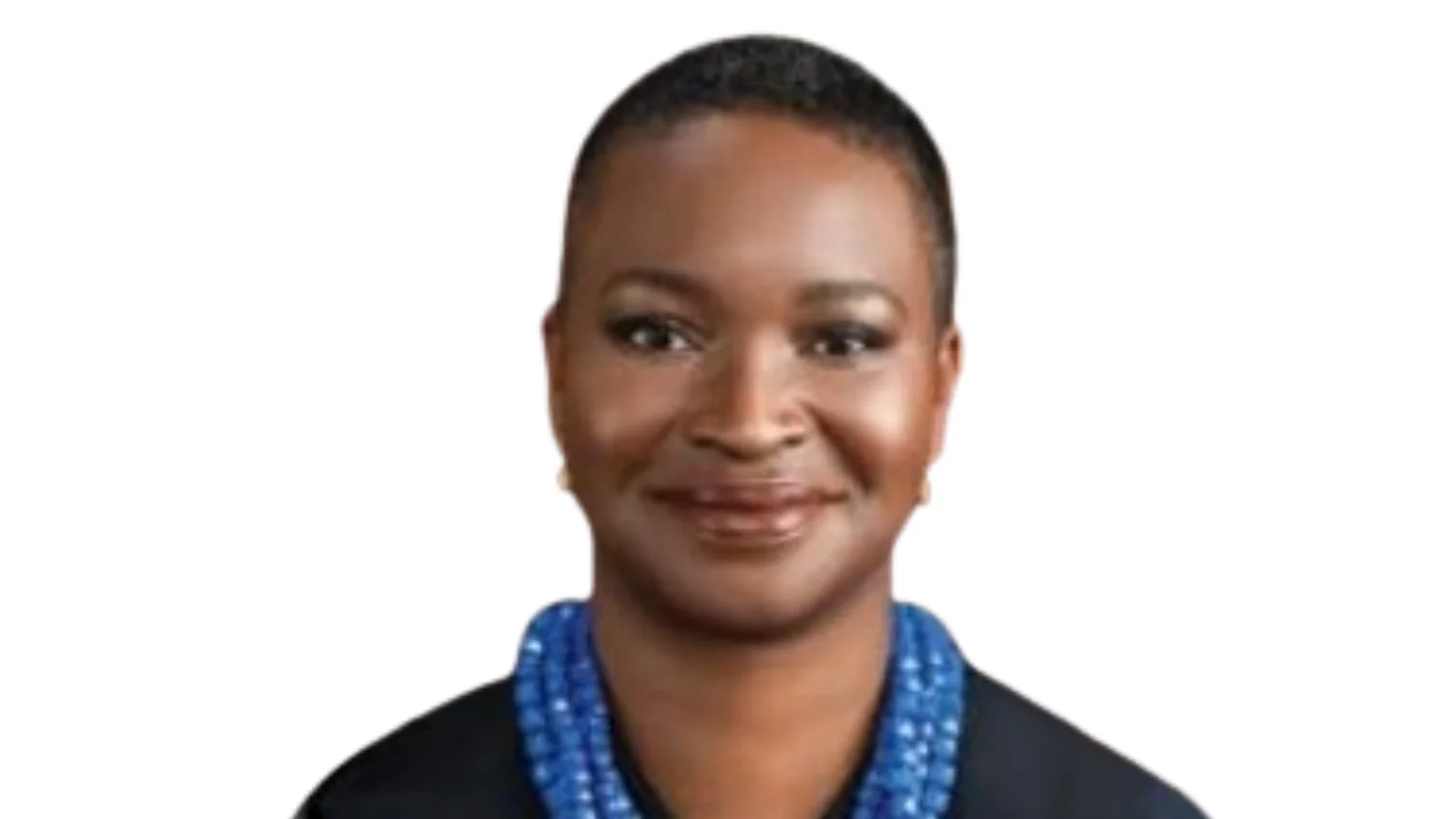 Maame E. Frimpong, Judge Maame E. Frimpong, Judge