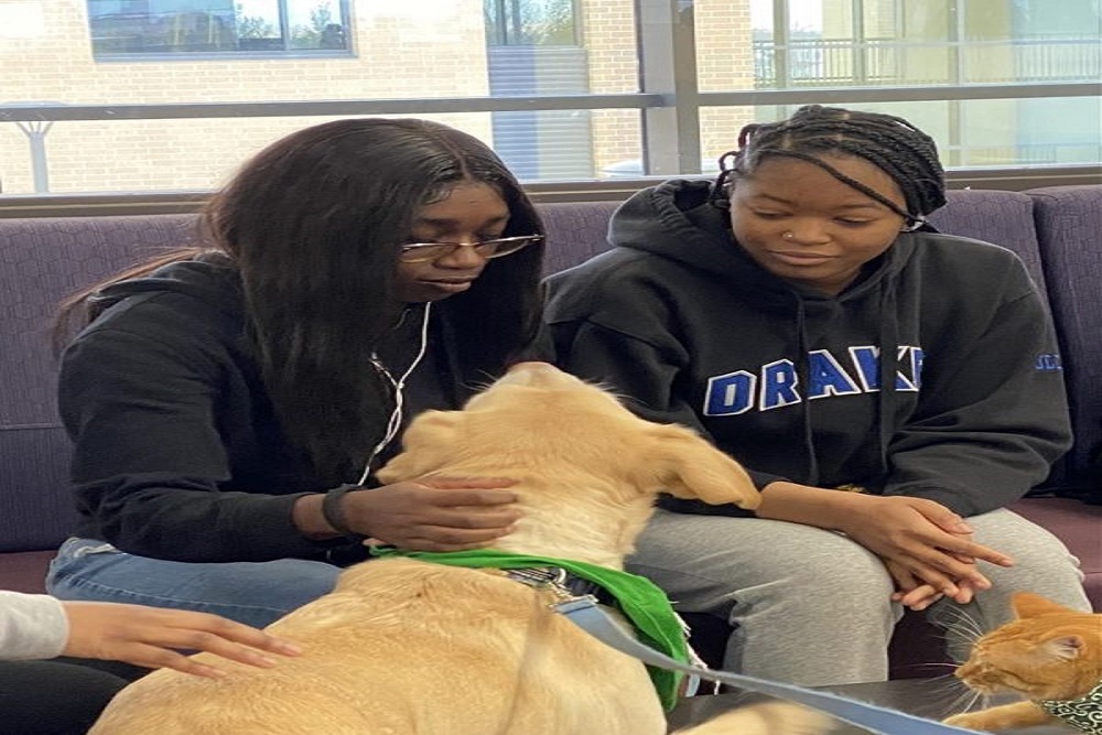 Furry friends provide comfort to Johnston students