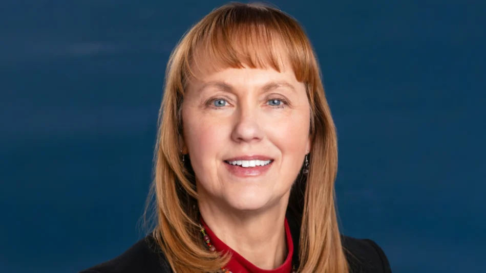 Rep. Selina Bliss addresses wildfire mitigation and insurance issues at town hall