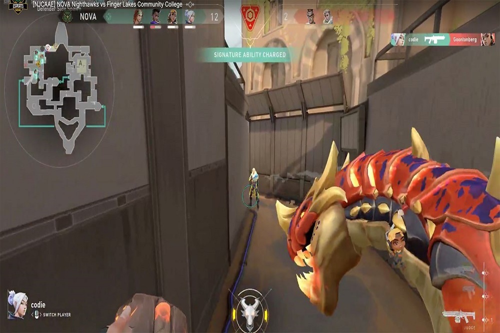 Nighthawks move on in postseason