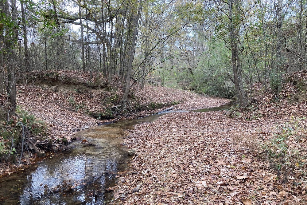 Prime Hunting and Recreational Property Located Near Crystal Springs and Hazlehurst