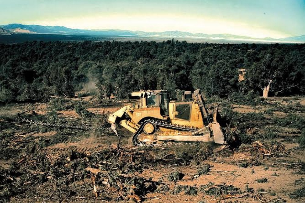 Eversource Vegetation Work