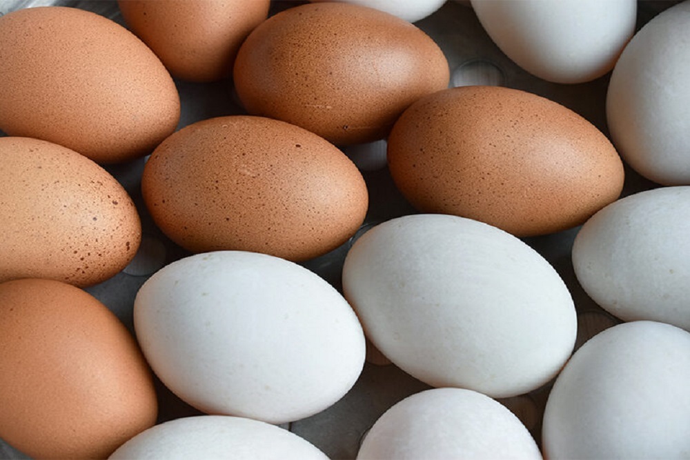 Flashlight Egg Scramble