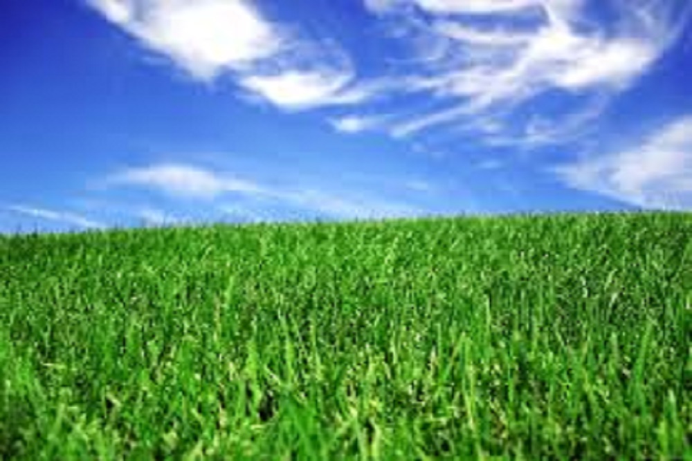 TOWN OF DAVIDSON: Join the Town of Davidson for TOWN DAY on the Green