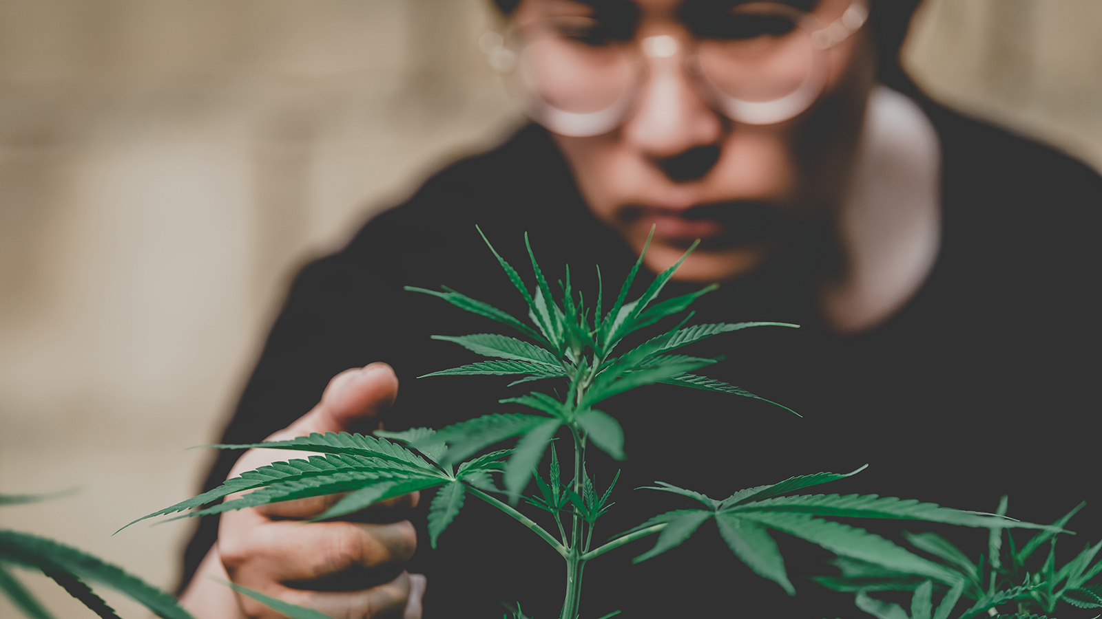 Evers: ‘It’s about darn time we listen to the people’ to legalize marijuana