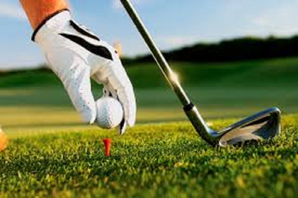 GREENVILLE PITT COUNTY CHAMBER OF COMMERCE: Open Fore Business Expo and Golf Tournament