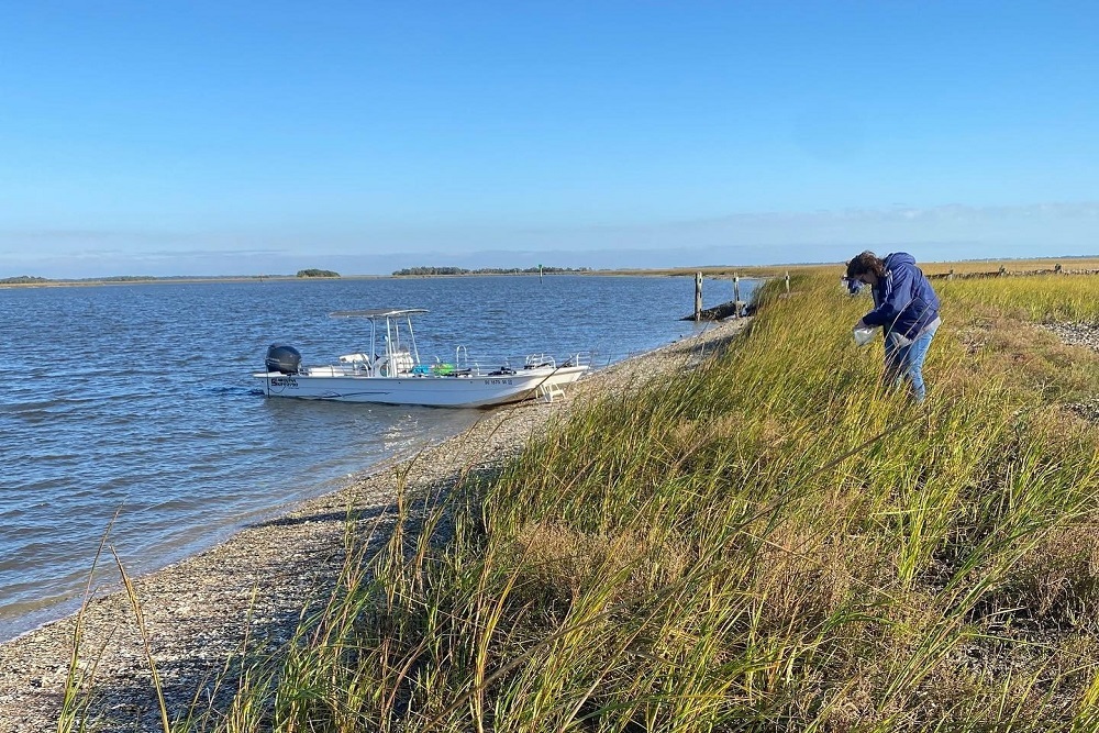 Beaufort County: Beaufort County Adapts: Sea Level Impacts Beneath Our Feet Study Receives 0K Grant