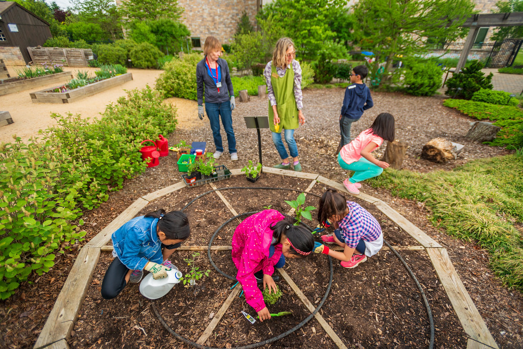 Cherokee Rose Garden Club on feb. 16