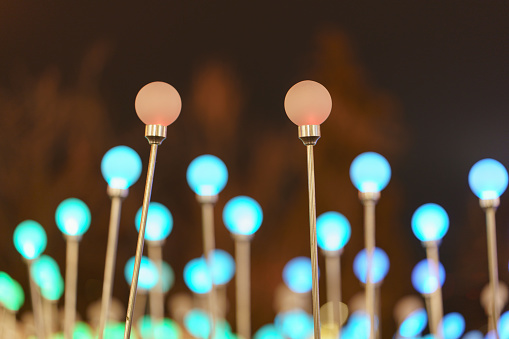 Creating a Garden of Year Round Interest on March 30