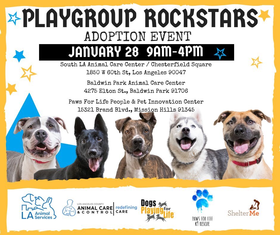 CITY OF LOS ANGELES: Rockstar Playgroup Adoption Event January 28, 2023