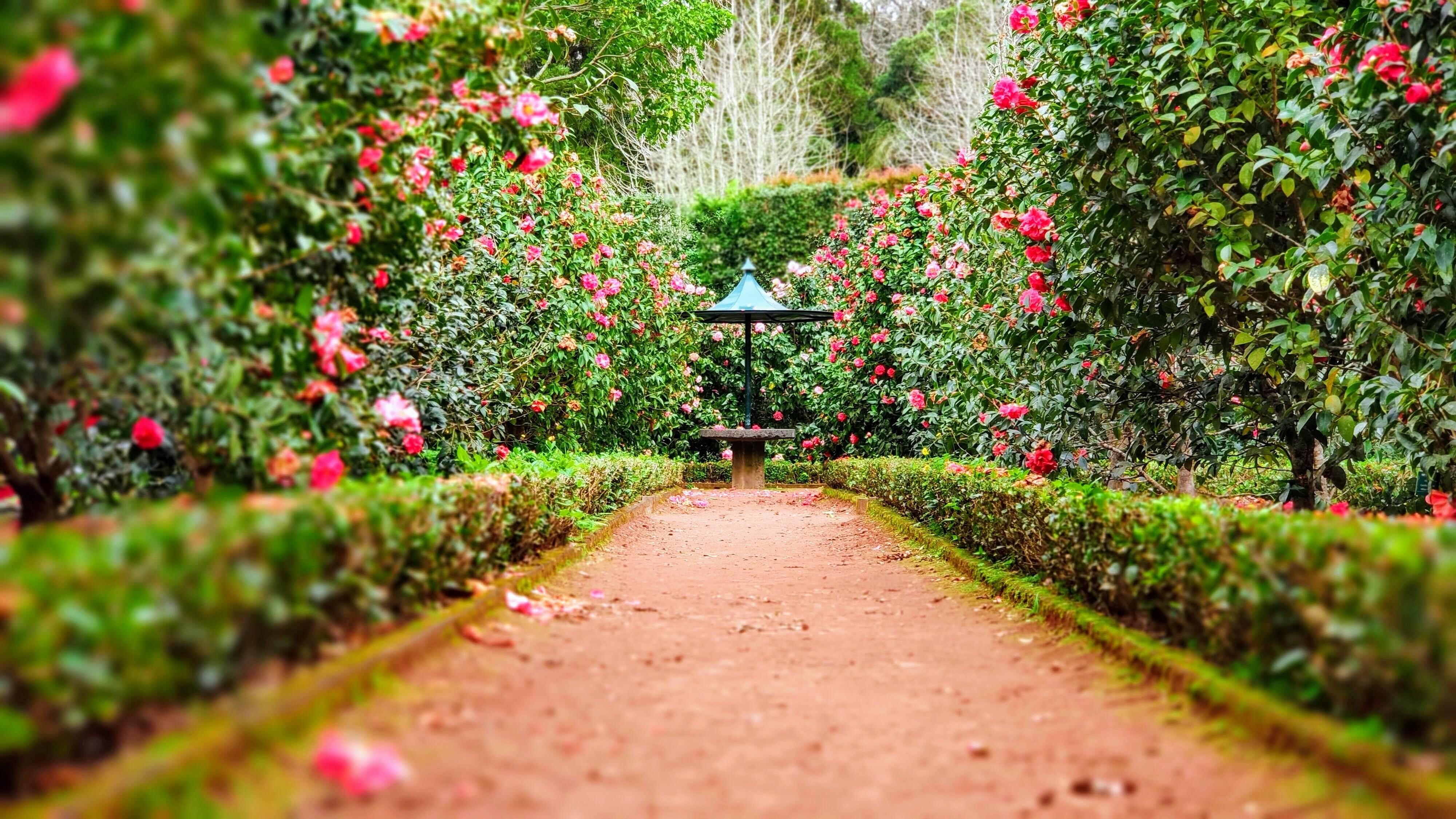 Bethany Garden Party on March 25, 2023