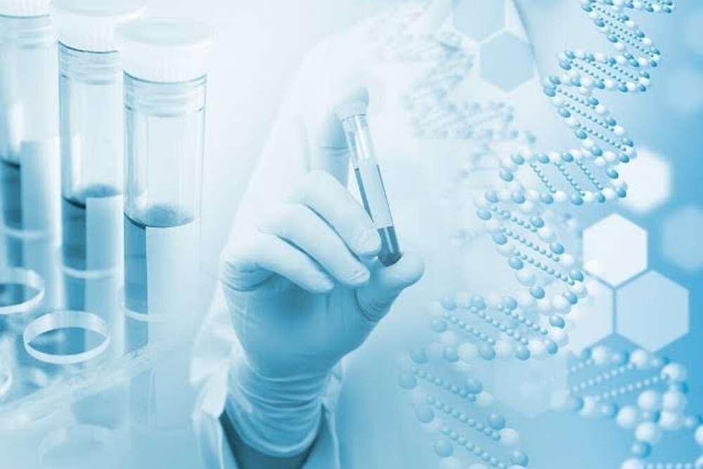 UNIVERSITY OF COLORADO BOULDER: New insights on a common protein could lead to novel cancer treatments