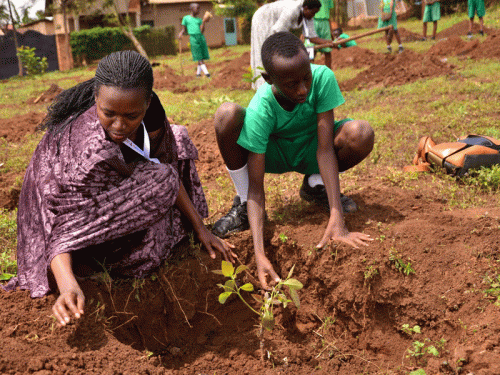 CENTRAL PRESBYTERIAN CHURCH: Climate change conference delegates help students at the Presbyterian School of Kabuga in Rwanda plant trees