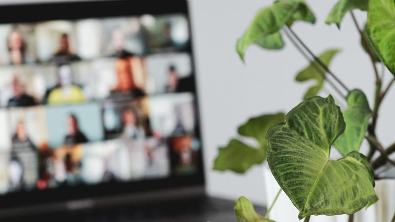 Sequim-Dungeness Chamber of Commerce hosts Sequim Prairie Garden Club Meeting on April 3, 2023 Sequim-Dungeness Chamber of Commerce hosts Sequim Prairie Garden Club Meeting on April 3, 2023