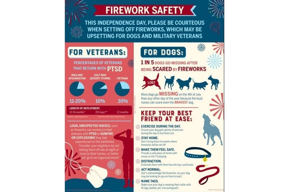 Anaconda-Deer Lodge County Public Health Department: Fireworks Safety
