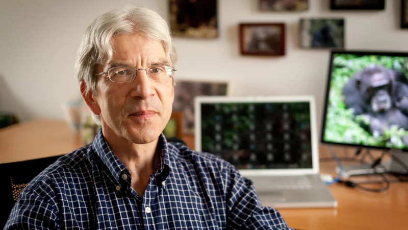 Study links violent territorial expansion to increased births among Ugandan chimpanzees