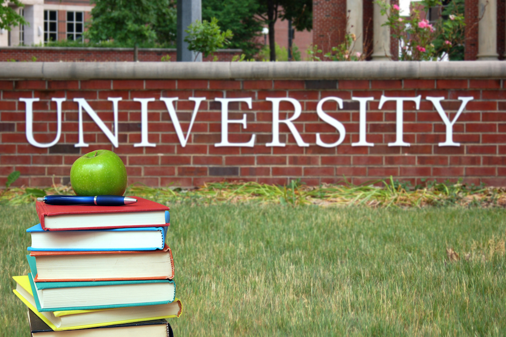 TRUCKEE MEADOWS COMMUNITY COLLEGE: Have you always had a passion for the arts? TRUCKEE MEADOWS COMMUNITY COLLEGE: Have you always had a passion for the arts?