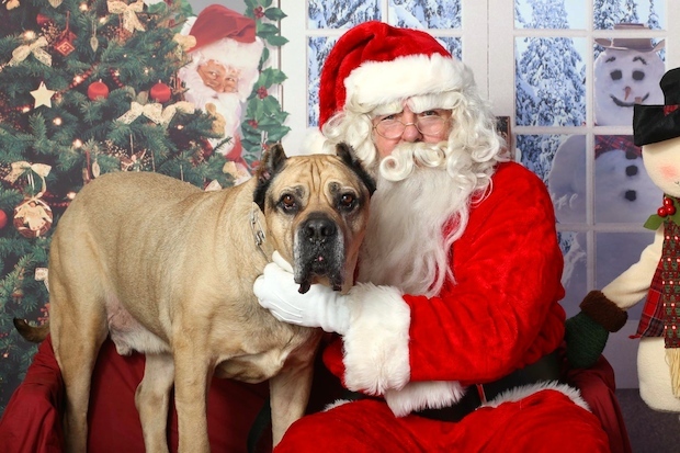 City of Crescent: Pet Photo Booth With Santa