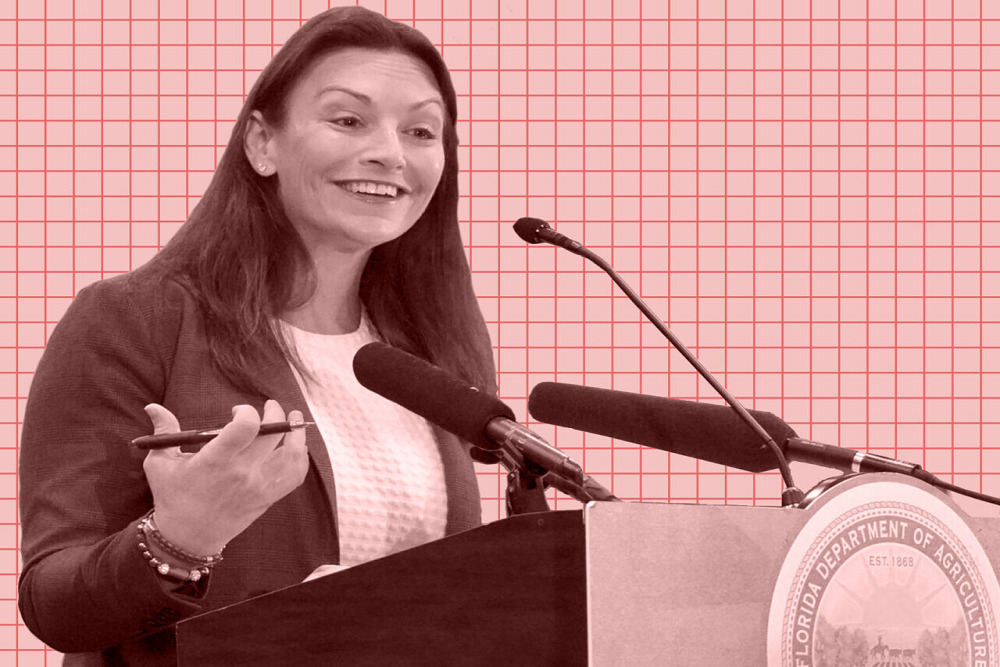 Nikki Fried touts boost in grassroots, online fundraising as she raises 0K in March