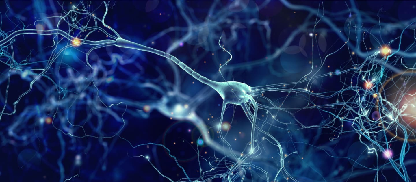 FIU receives million NIH grant to research how electric stimulation can solve bladder issues FIU receives million NIH grant to research how electric stimulation can solve bladder issues