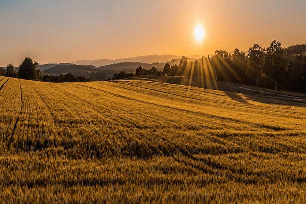 Land Trust Benefit Set for May 21
