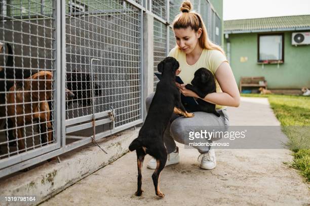 Animal Shelter in Los Lunas Nm Is Completely Full