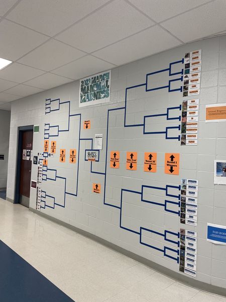 March Mammal Madness