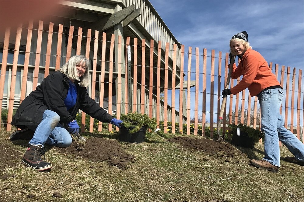 Planting On Cre scent Beach With Friends Of Crescent Beach to be held May 21