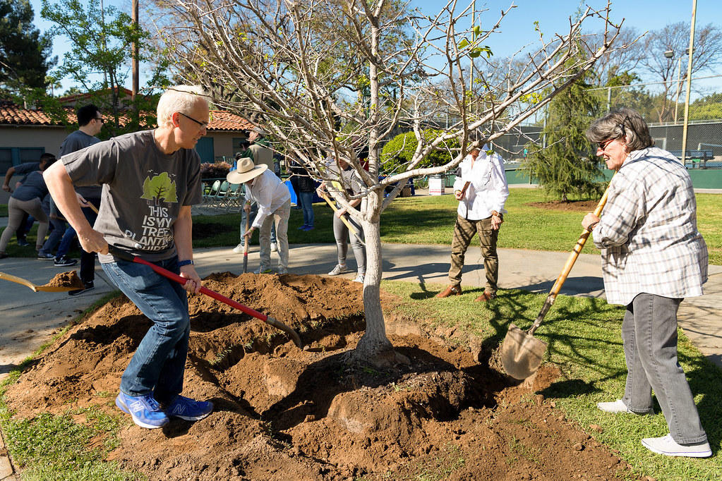 36th Annual Arbor Day Celebration Scheduled for February 25 36th Annual Arbor Day Celebration Scheduled for February 25