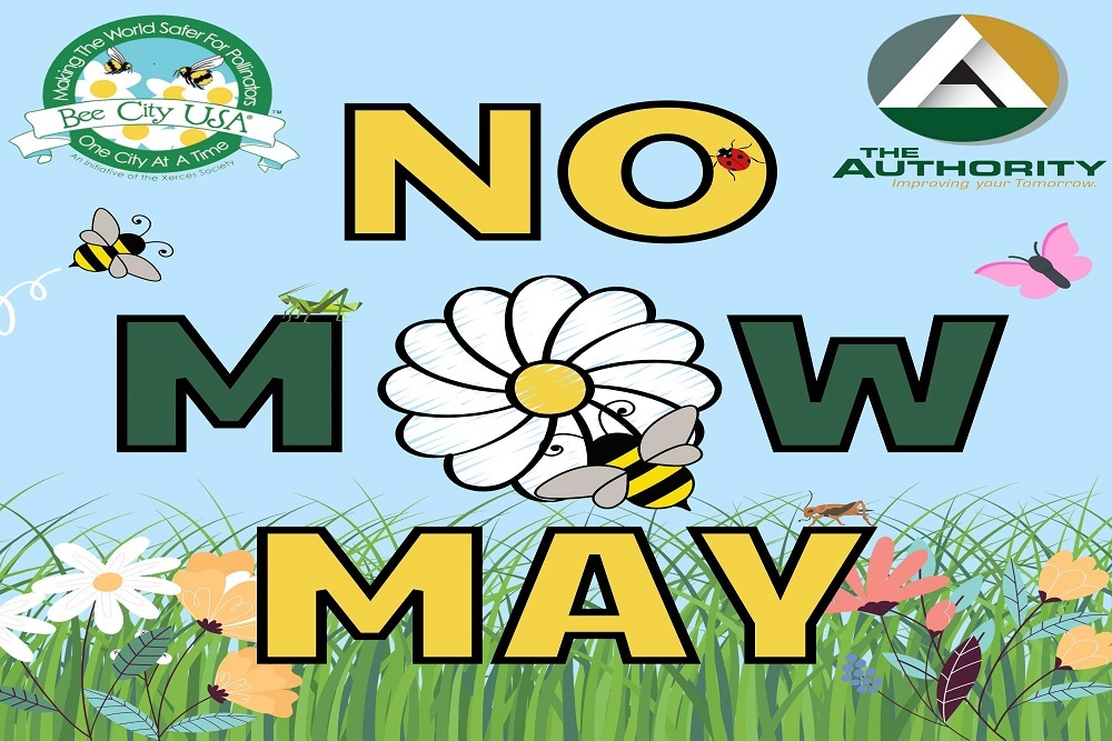 Join The Authority as we participate in No Mow May