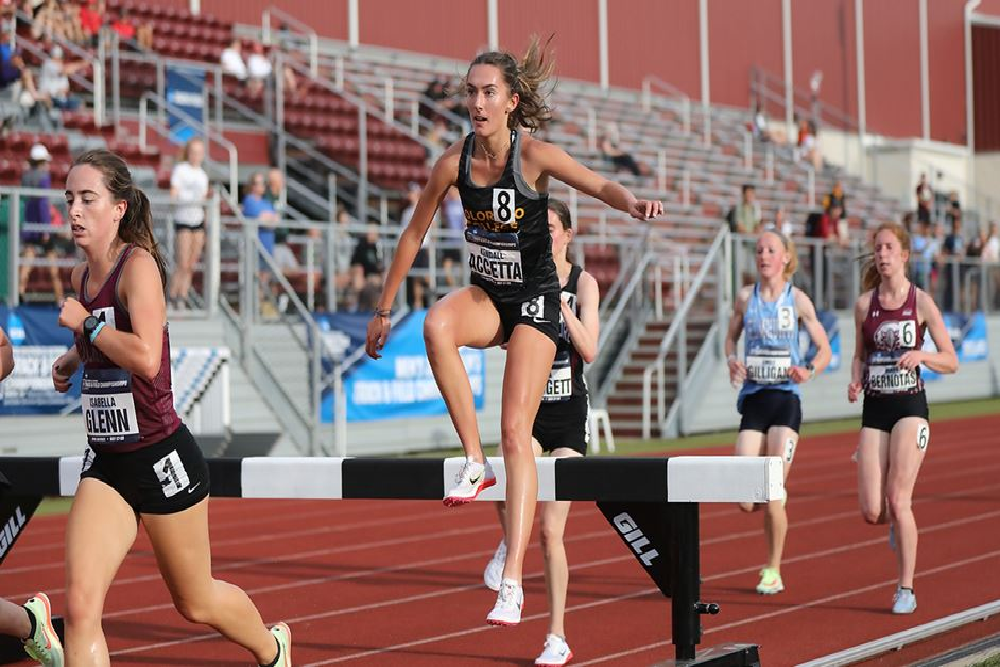 Accetta’s An All-American