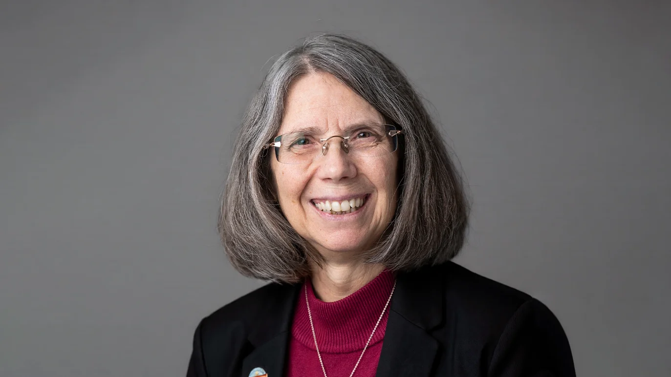 Karen Hurd highlights local control concerns over rural energy projects