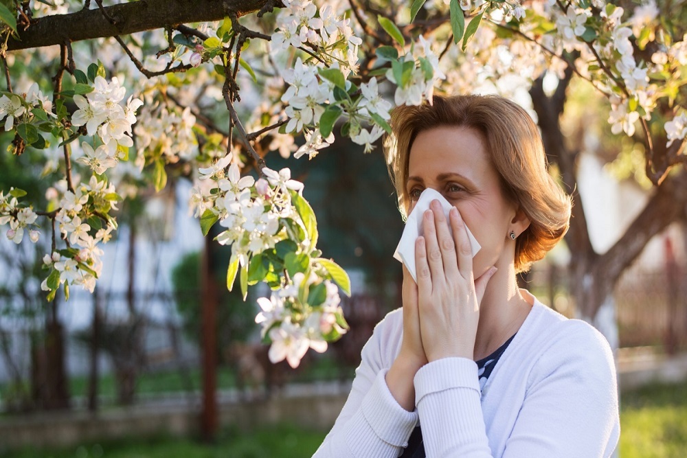 Find seasonal allergy relief with these tips from an expert