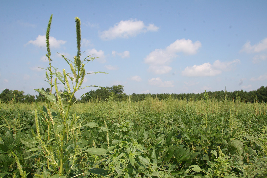 Youth 2023 – Daytona Beach, Florida Youth 2023 – Daytona Beach, Florida