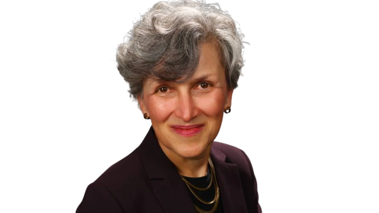 Julia Sass Rubin, director of Rutgers University's public policy program