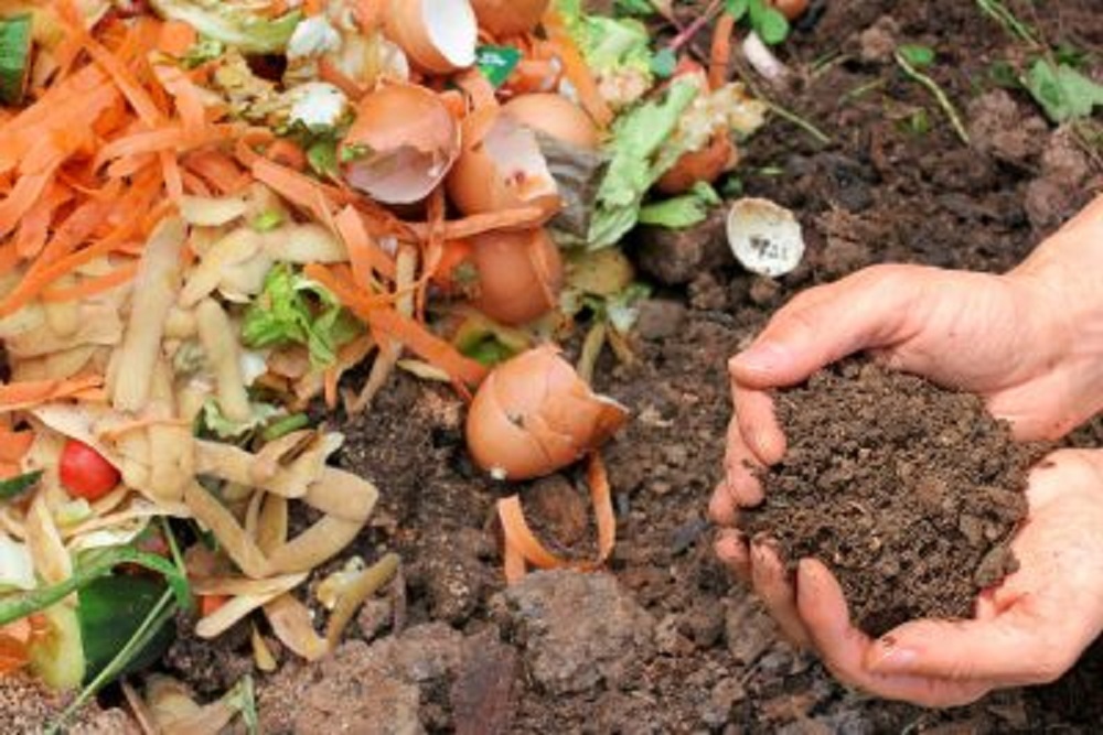 CITY OF JONESBORO: Free Brush & Leaf Compost CITY OF JONESBORO: Free Brush & Leaf Compost